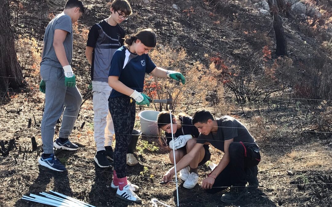LES ÉLÈVES DE 3eEA EN ACTION POUR LA RÉFECTION DES CLÔTURES APRÈS L’INCENDIE QUI A TOUCHE LA FERME DE MONTAGUT