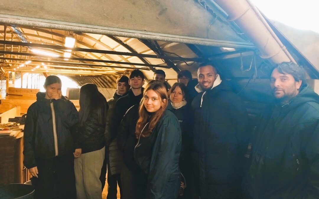 VISITE PÉDAGOGIQUE A LA FERME DE MONTAGUT : UNE IMMERSION AU CŒUR D&rsquo;UN SAVOIR-FAIRE LOCAL