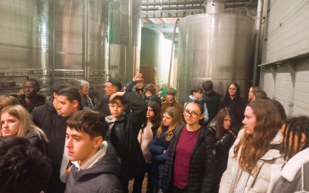 À LA DÉCOUVERTE D&rsquo;UN DOMAINE VITICOLE EMBLÉMATIQUE DE LEZIGNAN-CORBIERES