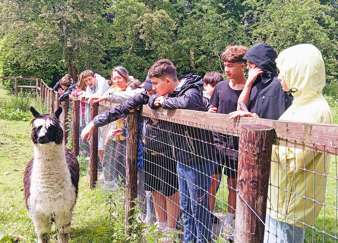 LES 5ème EN VOYAGE SCOLAIRE EN IRLANDE
